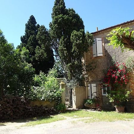Sigean - Maison Domaine Viticole, 6 Km De La Mer Esterno foto