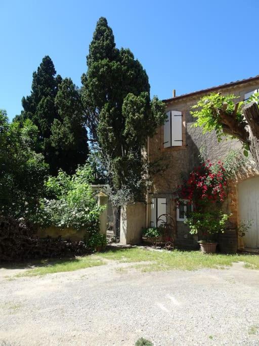 Sigean - Maison Domaine Viticole, 6 Km De La Mer Esterno foto