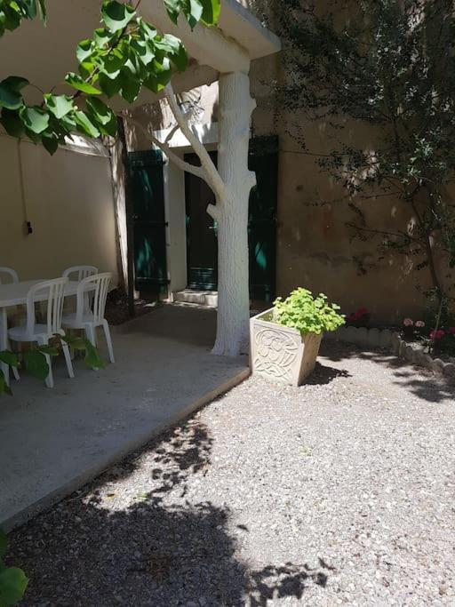 Sigean - Maison Domaine Viticole, 6 Km De La Mer Esterno foto