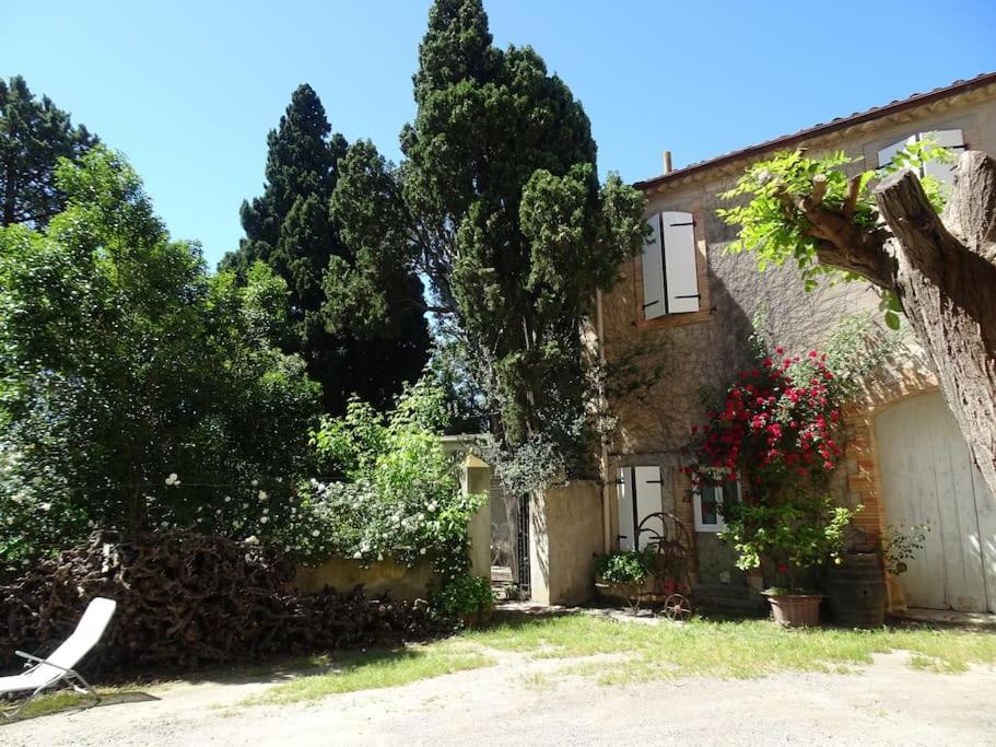 Sigean - Maison Domaine Viticole, 6 Km De La Mer Esterno foto
